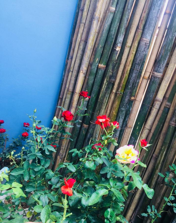 De Rose Hotel Chiang Mai Extérieur photo